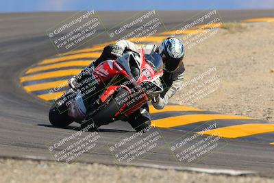 media/Oct-09-2022-SoCal Trackdays (Sun) [[95640aeeb6]]/Turn 12 (140pm)/